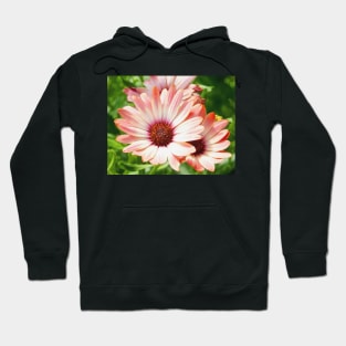 Macro Pink Cinnamon Tradwind Daisy Flower in the Garden Hoodie